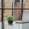Fake Sage Small Potted Plants – Mini Artificial Succulents Grass Desk Plant in Black Pot for Shelf Decor, Office, Coffee Table, Masculine Home & Indoor Modern Decor